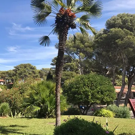 T2 Rez De Jardin 4 Personnes Acces Direct Piscine Superbe Vue / Parking Prive Ombrage L'am Apartment